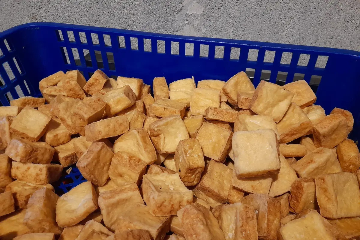 Ilustrasi Tahu Goreng