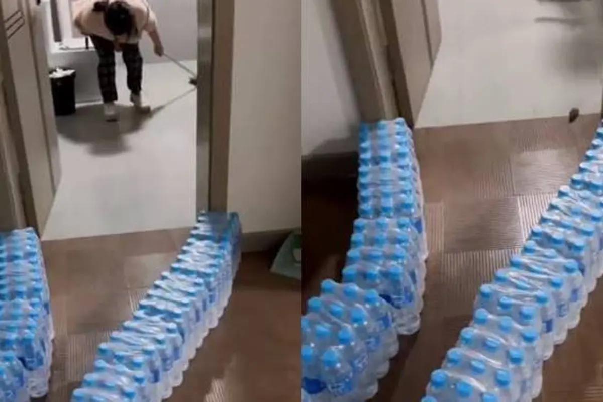 Modalnya Banyak, Ini Cara Usir Tikus dari Kamar Mandi yang Kocak
