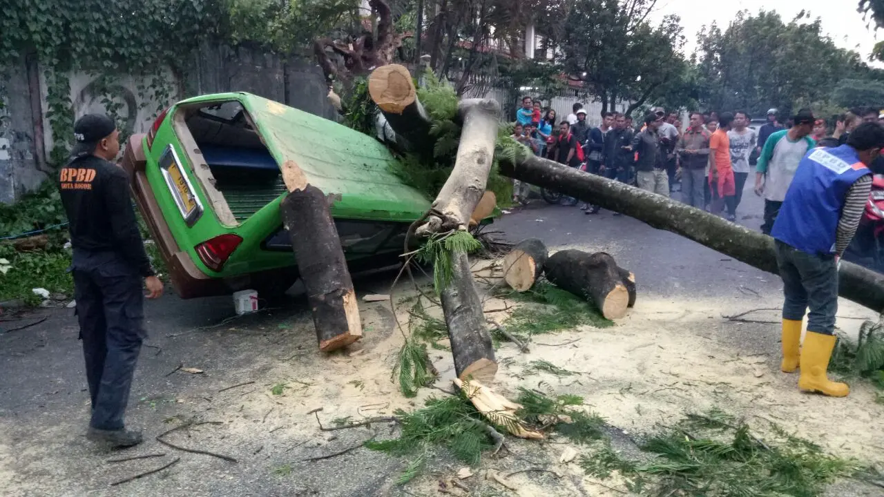 Pohon timpa mobil