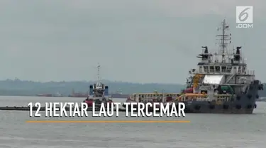 Dampak pencemaran akibat minyak tercecer di teluk Balikpapan, Kalimantan Timur mencapai 12 ribu hektare.