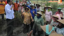 [FOTO] Jokowi Bercengkerama dengan Petani di Pematang Sawah