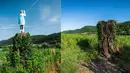 Kombinasi gambar pada 5 Juli 2019 menunjukkan (kiri) patung kayu Melania Trump dan pada 7 Juli 2020 menunjukkan (kanan) sisa-sisa batang pohon hangus yang dijadikan alas patung kayu Melania Trump sebelum dibakar oleh orang tak dikenal di lapangan dekat kota Sevnica, Slovenia. (Jure Makovec/AFP)