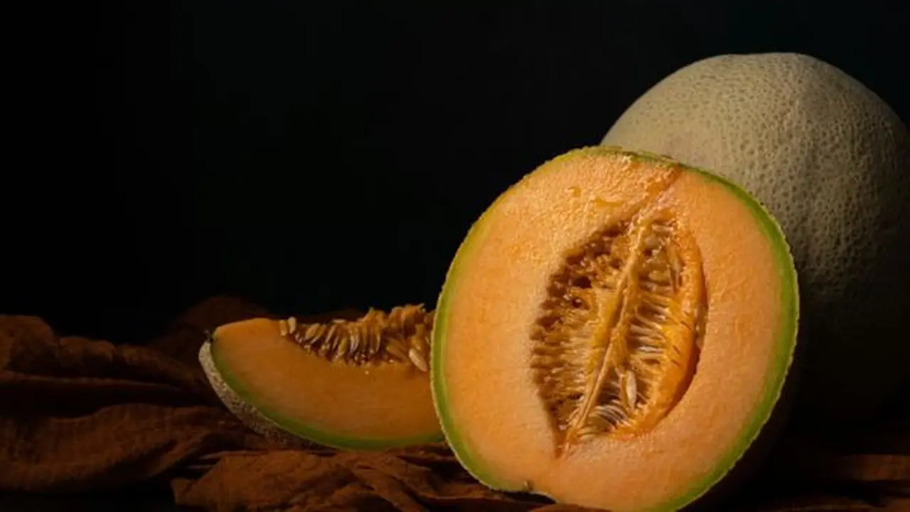 Ilustrasi Cara Mudah Tanam Melon/Photo by Skyler Ewing on Unsplash