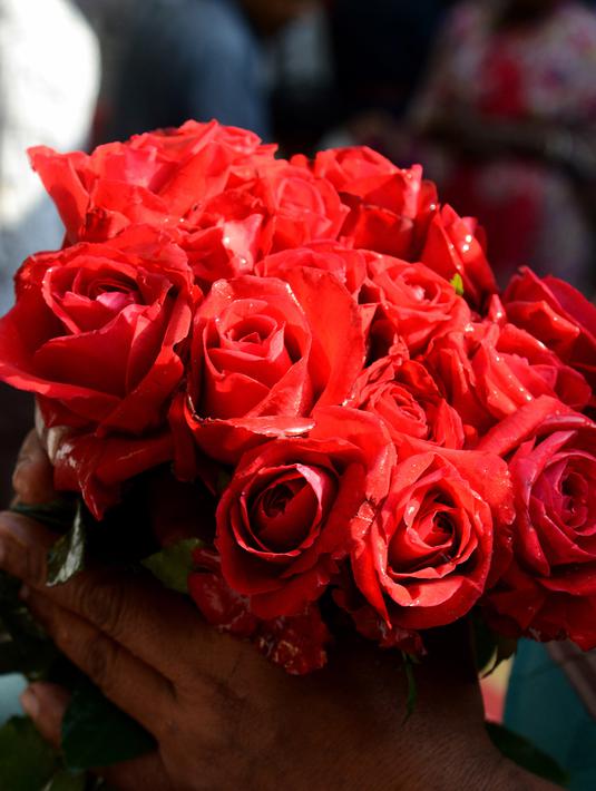 Foto Berburu Mawar Merah Untuk Hari Valentine Lifestyle Liputan6 Com