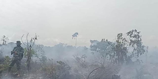 Pemkab Aceh Barat Tetapkan Status Darurat Bencana Kebakaran Hutan dan Lahan Selama 14 Hari