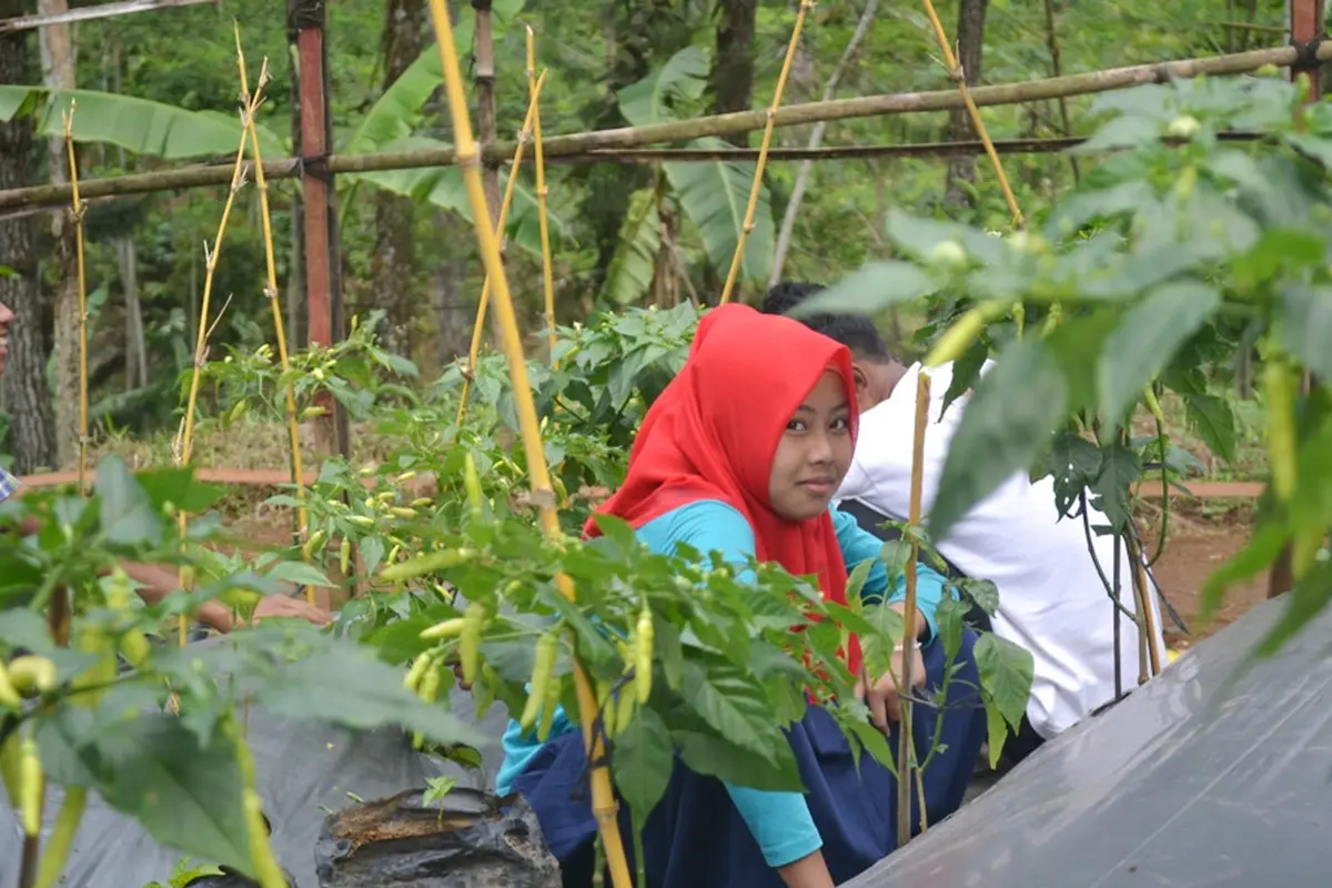 Salam Pagi
