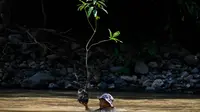Peringatan Hari Bumi Sedunia 2026, Digelar Aksi Penanaman One Man One Tree