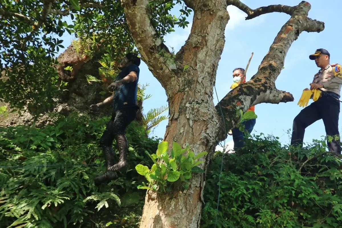 Kapolres Gowa, AKBP Shinto saat lakukan olah TKP Kasus Remaja Gantung Diri di Pohon Nangka (Liputan6.com/ Eka Hakim)