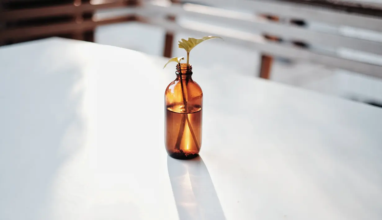 Botol bekas juga bisa dialihfungsikan sebagai vas seperti ini juga, lho. Cocok untuk menaruh setangkai bunga kecil di atas meja./Copyright pexels.com/@vie-studio