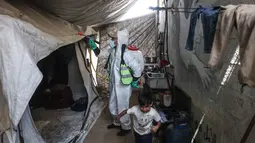 Hewan-hewan tersebut merusak tenda, perlengkapan pengungsi, serta makanan yang ada. Situasi tersebut meningkatkan risiko kelaparan dan penyakit menular. Tampak dalam foto, seorang pengungsi Palestina menyemprotkan cairan disinfektan pada jalan setapak dan tenda-tenda untuk membasmi serangga dan hewan pengerat di kamp pengungsian Khan Yunis, Jalur Gaza Selatan pada Rabu 22 April 2026. (Bashar Taleb/AFP)
