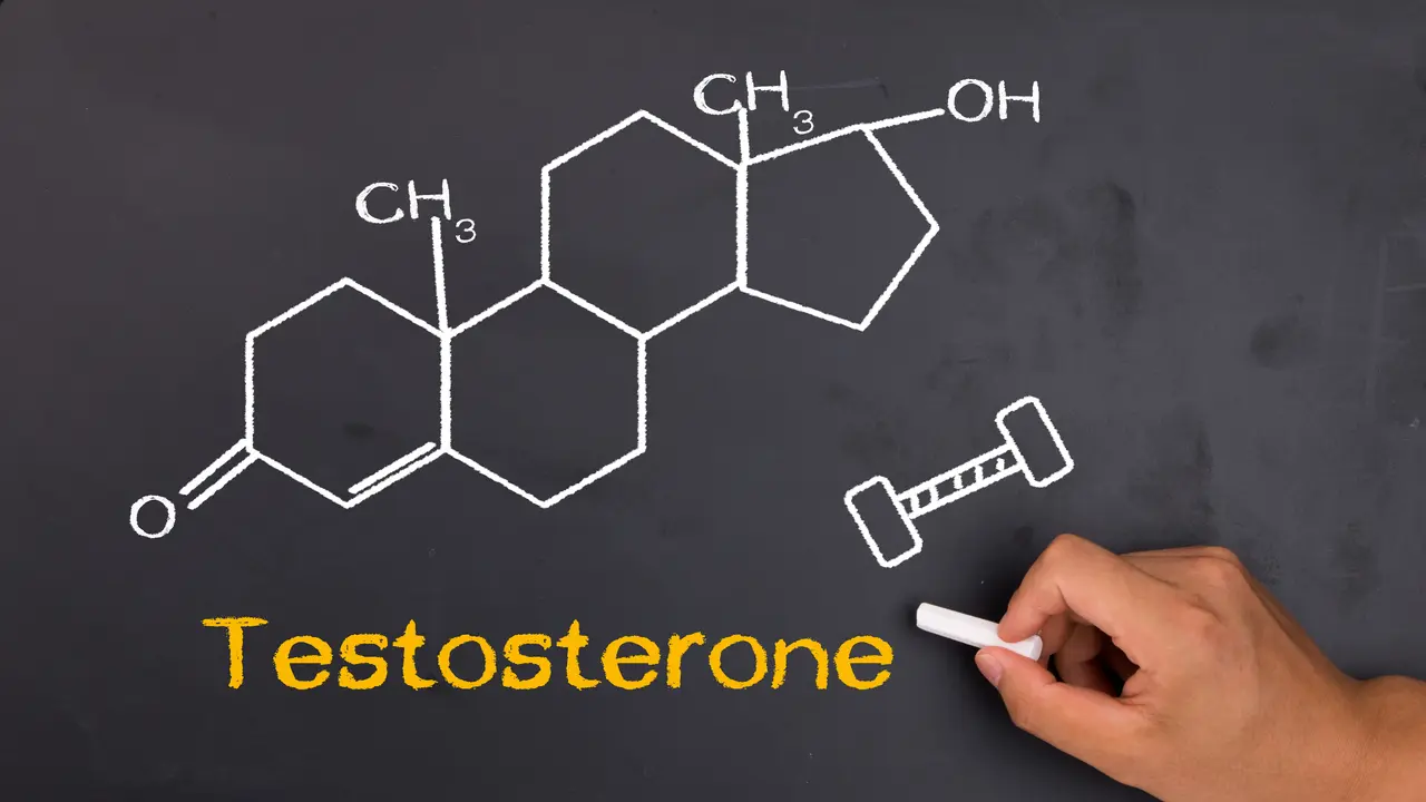 Testosteron Tak Cuma Penting Bagi Organ Seks Pria