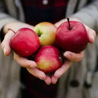 ilustrasi buah apel/Photo by Aarón Blanco Tejedor on Unsplash