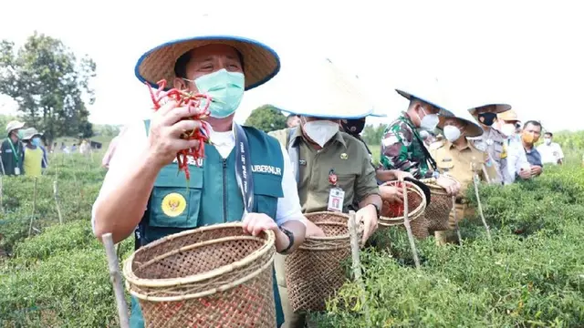 Dari Lahan Sendiri, Wujudkan Ketahanan Pangan Mandiri