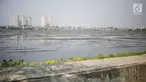 Kondisi waduk Pluit yang mengalami pendangkalan di wilayah Penjaringan, Jakarta Utara, Sabtu (8/6/2019). Endapan lumpur cukup tebal yang diperparah dengan sampah menutupi permukaan air waduk tersebut mengantarkan aroma tidak sedap. (Liputan6.com/Faizal Fanani)