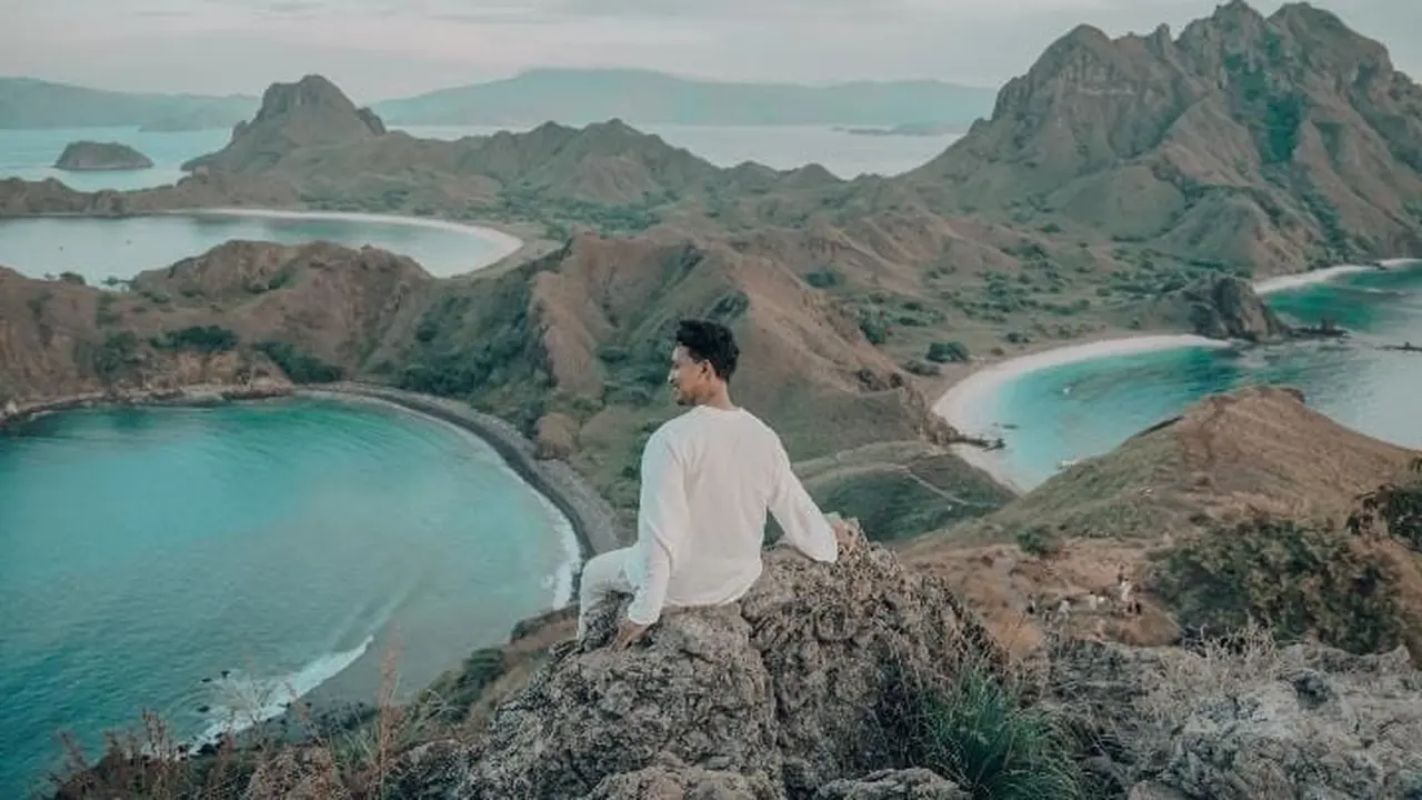 Traveler
