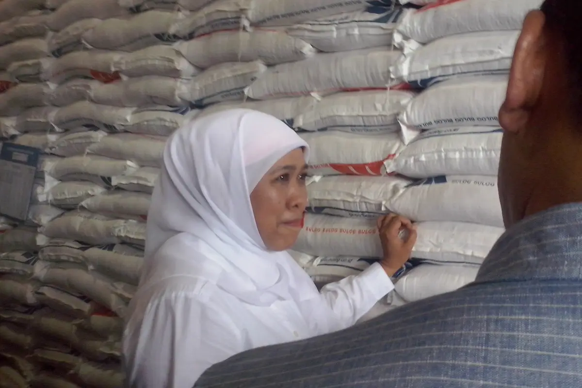 Cek Gudang Bulog, Mensos Pastikan Raskin Bebas Beras Plastik