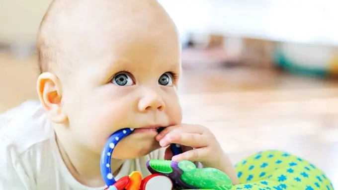 Copyright shutterstock.com