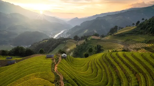 Vietnam.