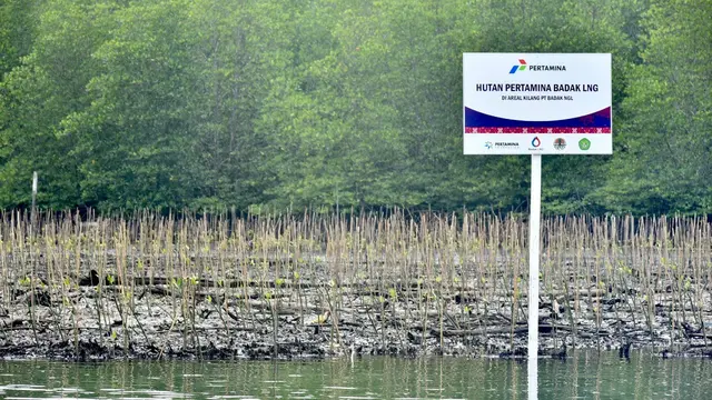 Hutan Pertamina