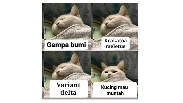 7 Meme Cara Bangun Mendadak dari Tidur, Bikin Ikut Mengangguk