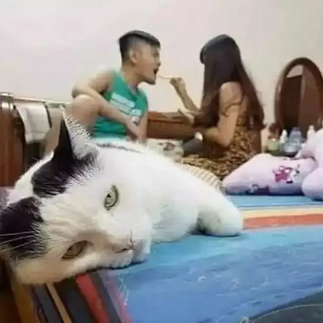 6 Potret Lucu Makan Disuapi Pacar Ini Bikin Senyum Malu