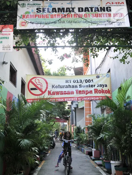 Seorang anak bermain sepeda di salah satu gang Program Kampung Iklim (Proklim) RW 01, Sunter Jaya, Jakarta, Kamis (7/2). Kampung Iklim di kawasan yang memiliki 24 RT tersebut merupakan ciptaan warga setempat secara sukarela. (Merdeka.com/Iqbal S. Nugroho)