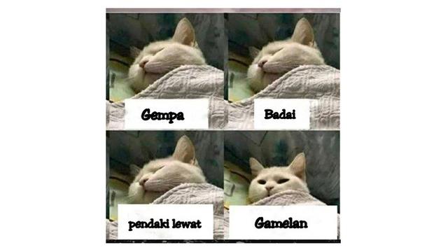 7 Meme Cara Bangun Mendadak dari Tidur, Bikin Ikut Mengangguk