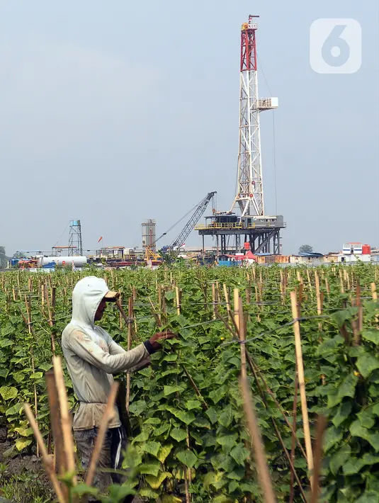 Temuan cadangan ini sekaligus sebagai bagian penting dari program pemerintah di sektor energi nasional untuk mencapai target produksi gas 12 miliar standar kaki kubik per hari (BSCFD) dan produksi minyak 1 juta barel per hari pada tahun 2030. (merdeka.com/Imam Buhori)