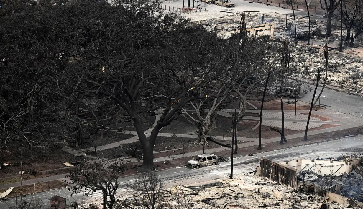 Dalam sebuah gambar satelit dari Maxar Technologies, pohon tersebut terlihat masih berdiri namun terbakar parah. (Patrick T. Fallon / AFP)