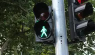 Penganut Teori Konspirasi Sebut Lampu Lalu Lintas Bisa Membunuh Manusia