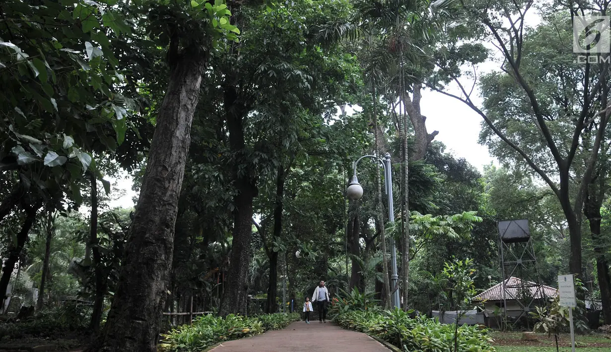 Warga jalan-jalan santai di Taman Hutan Kota Tebet, Jakarta, Kamis (19/4). Pemprov DKI Jakarta berencana memberdayakan hutan kota sebagai destinasi wisata gratis. (Merdeka.com/Iqbal Nugroho)