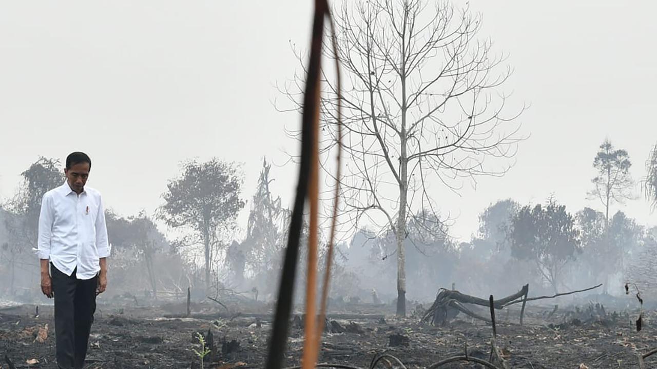 anpa Masker, Jokowi Tinjau Lokasi Kebakaran Hutan di Pekanbaru