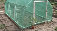 Cara Membuat Greenhouse Sederhana dari Pipa PVC, Panduan Praktis dari Nol hingga Selesai