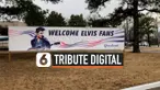 THUMBNAIL elvis