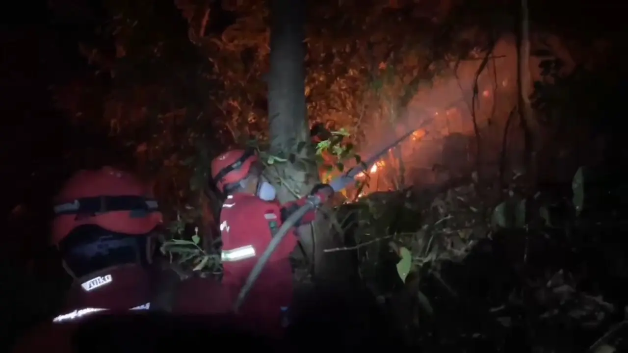 Petugas berupaya memadamkan kebakaran Taman Nasional Babul