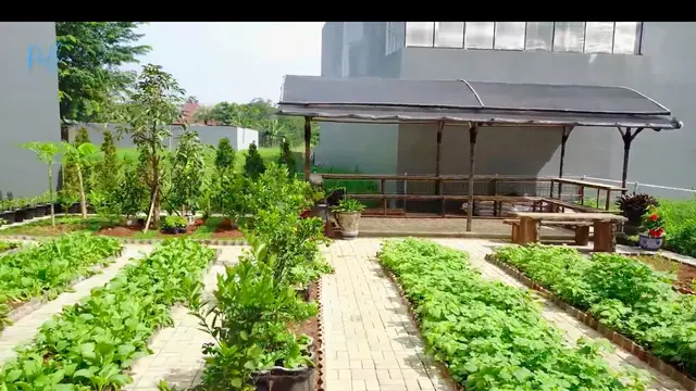 Potret Kebun Organik Milik Prilly Latuconsina, Ada Sayur Hingga Buah-buahan. (Sumber: YouTube/Prilly Latuconsina)