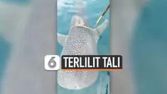 PAUS MINTA TOLONG