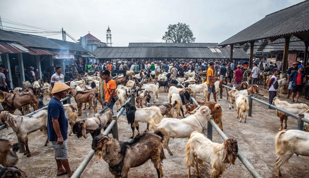 Kambing-kambing dipajang untuk dijual di pasar ternak menjelang hari raya Idul Adha, di Ambarawa, Jawa Tengah pada Sabtu 16 Mei 2026. (DEVI RAHMAN/AFP)
