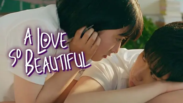 A Love So Beautiful