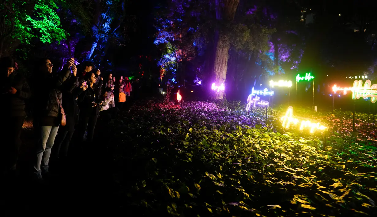 Di kebun raya seluas 18 hektare yang hijau ini, Anda dapat beristirahat dari hiruk pikuk kota dan menikmati pemandangan dari bangku taman. (AP Photo/Natacha Pisarenko)