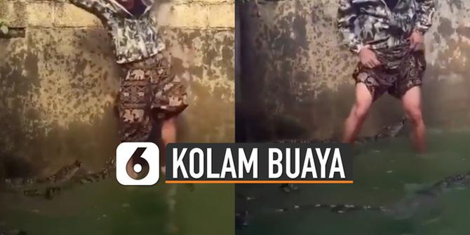 VIDEO: Pria Masuk Kolam Buaya dengan Santai