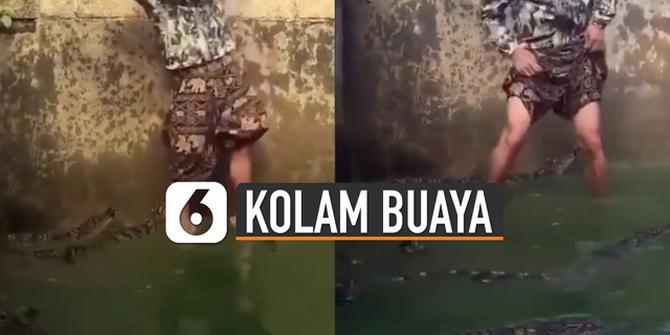 VIDEO: Pria Masuk Kolam Buaya dengan Santai