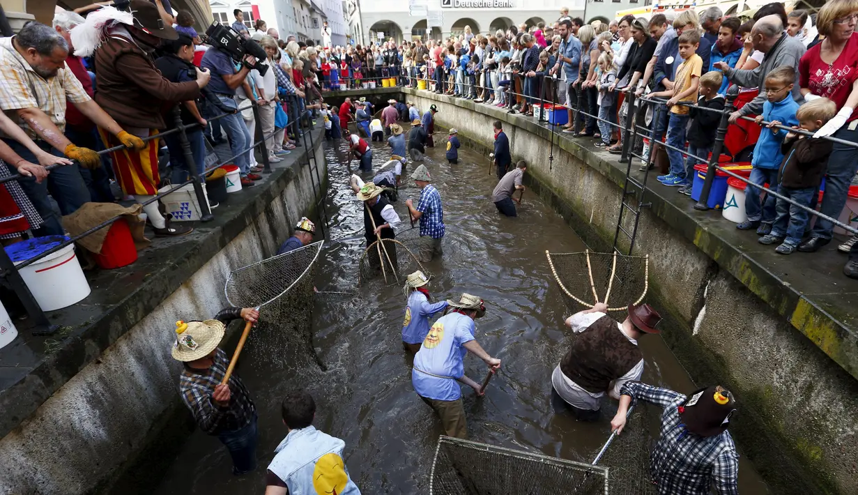 Sejumlah nelayan berusaha menangkap ikan saat merayakan hari nelayan di Memmingen, Jerman, Sabtu (25/7/2015). Tradisi ini sudah ada sejak tahun 1465 dimana setiap nelayan yang lahir di Memmigen harus menangkap ikan di sungai. (REUTERS/Michaela Rehle)