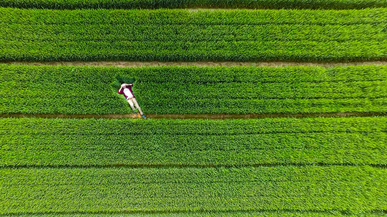 10 Foto Terbaik Tangkapan Drone Tahun 2015
