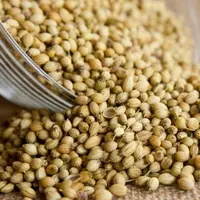 ilustrasi manfaat air ketumbar/pexels