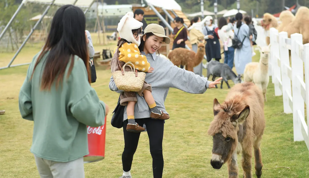 Sejumlah orang menikmati waktu luang mereka di "Go Farm" di Desa Gucheng, Kota Huzhou, Provinsi Zhejiang, China pada 17 November 2020. "Go Farm", sebuah destinasi liburan yang memadukan antara perkemahan dengan tur bertema hewan peliharaan di desa kuno Gucheng. (Xinhua/Weng Xinyang)