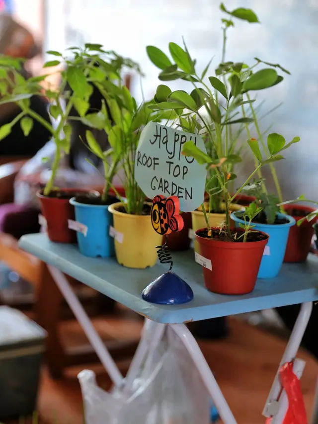 [Fimela] Komunitas Urban Farming Jakarta: Ajak masyarakat berkebun di rumah