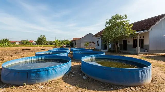 7 Ide Ternak Ikan Patin di Lahan Kering, Cocok untuk Usaha Rumahan yang Minim Modal