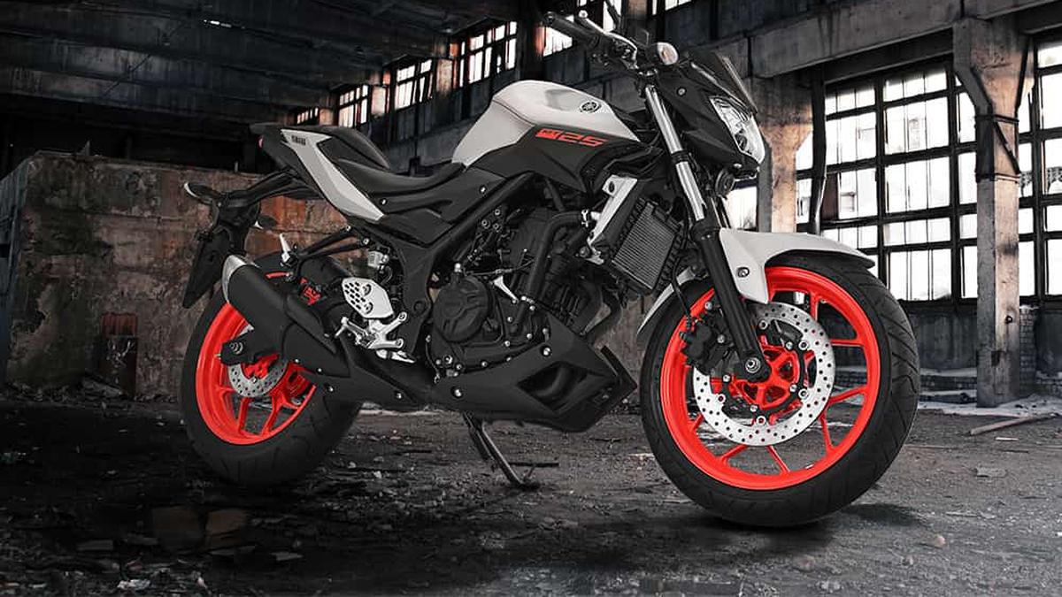 z250 vs mt 25