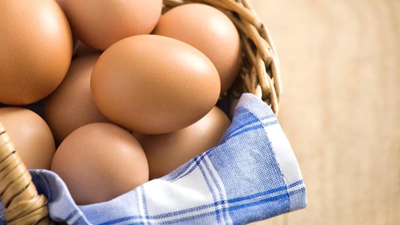 Courtesy ShutterStock.com